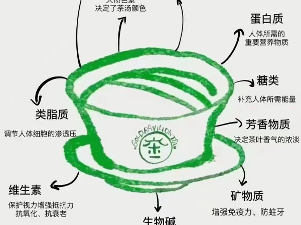 茶中的內含物質