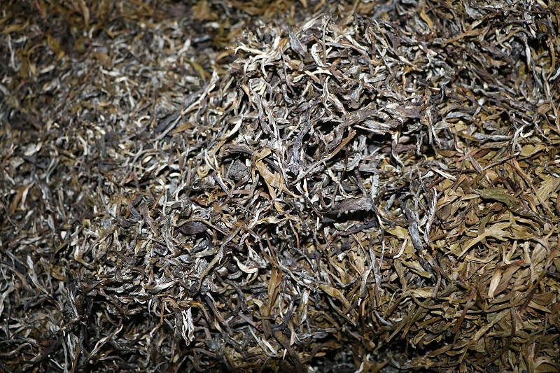 熟茶發酵