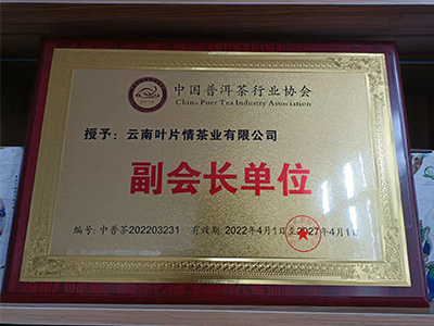 葉片情-普洱茶協(xié)會