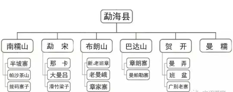 勐海茶區
